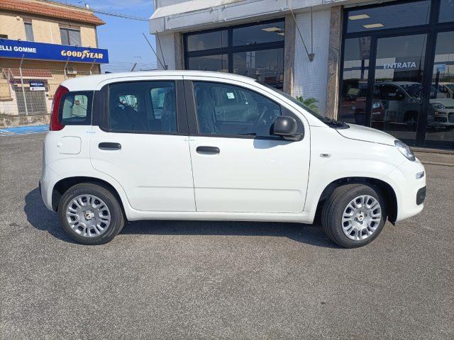 FIAT Panda 1.0 FireFly S&S Hybrid PREZZO REALE