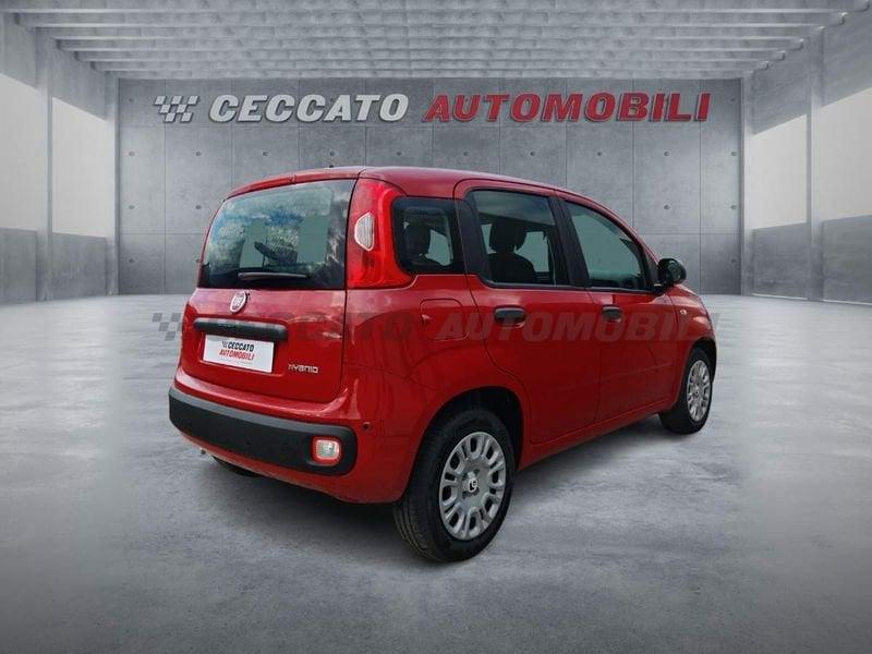 FIAT Panda Panda 1.0 70cv Hybrid Pop