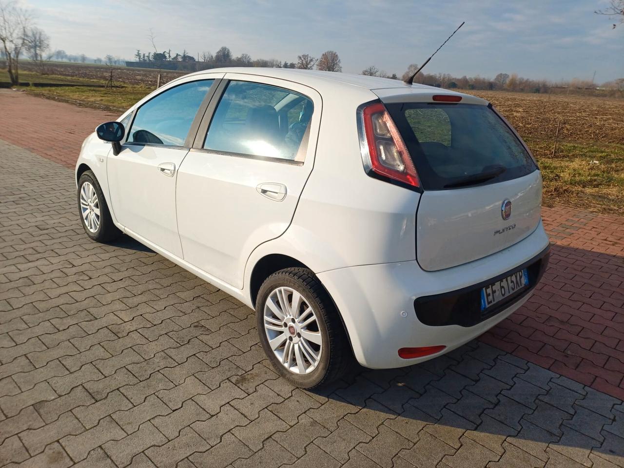 Fiat Punto Evo 1.3 Mjt 75 CV DPF 5 porte S&S Dynamic