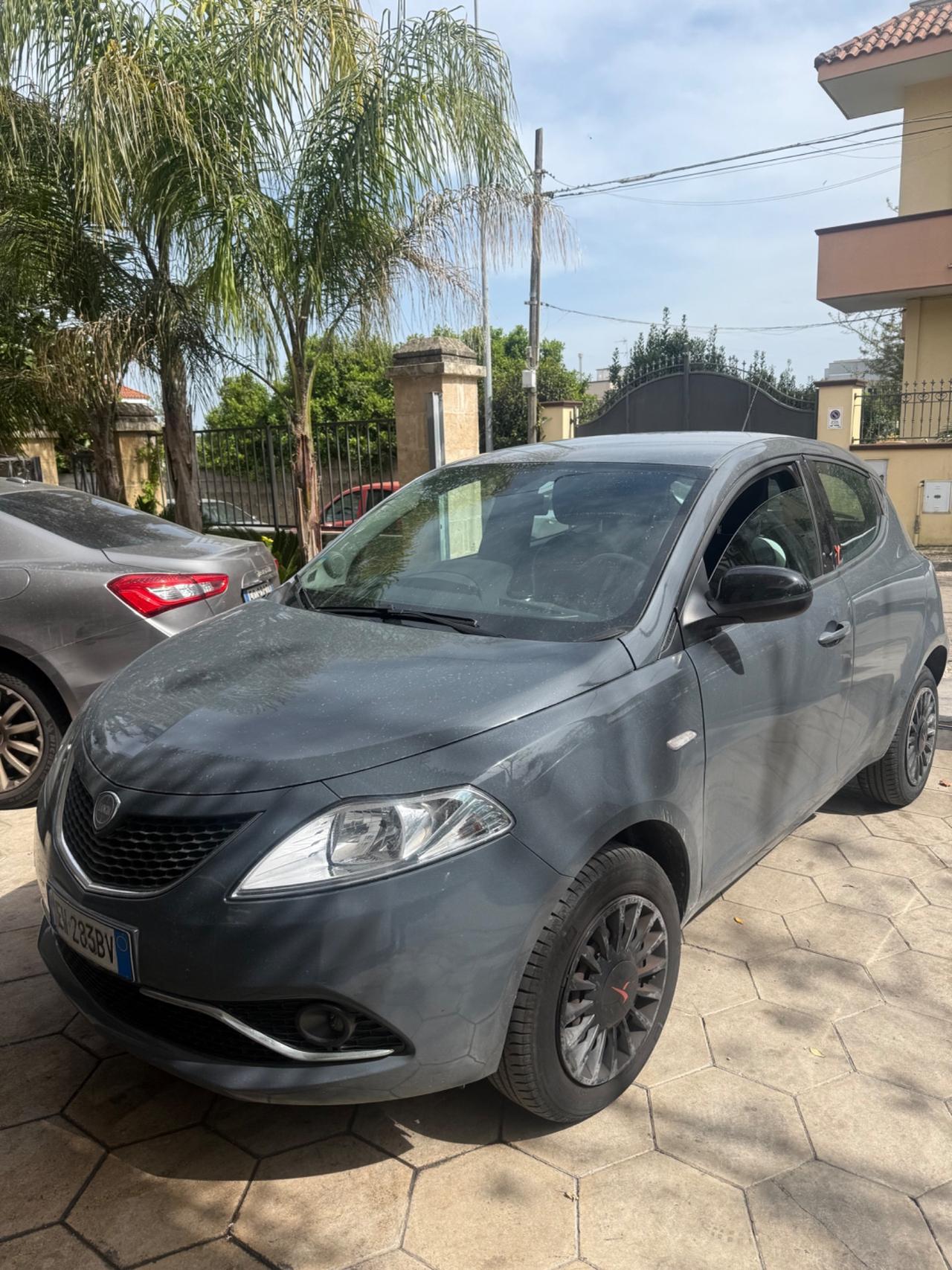 Lancia Ypsilon 0.9 TwinAir 85 CV 5 porte Metano Ecochic Elefantino