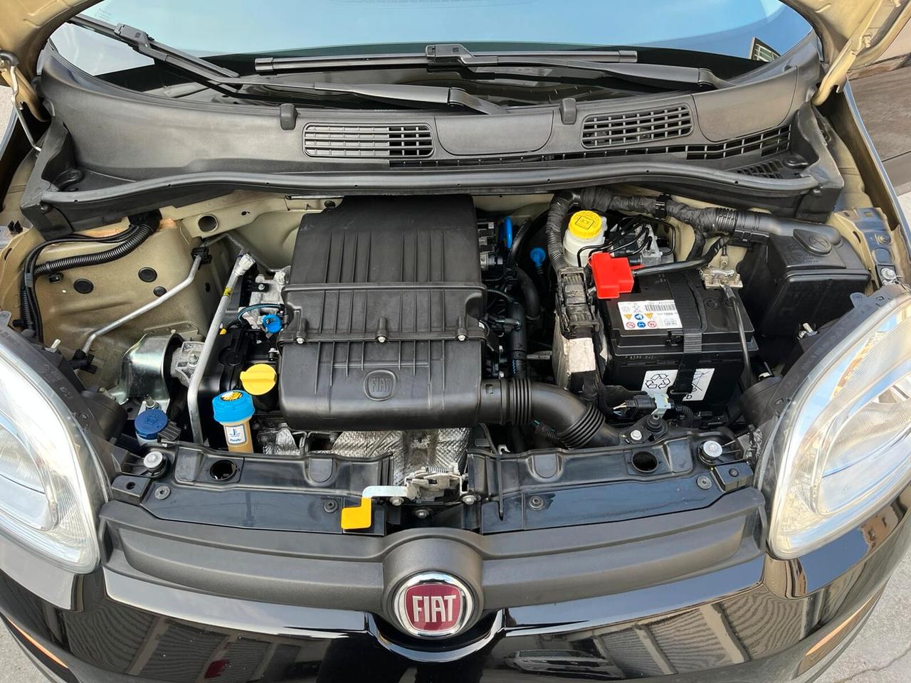 Fiat Panda 1.2 Lounge OK NEOPATENTATI