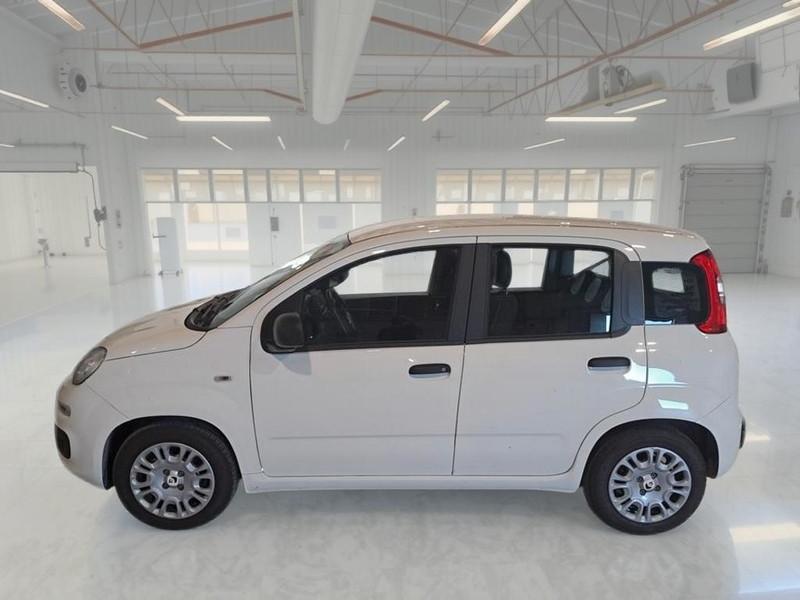 FIAT PANDINA 1.0 FIREFLY 65 CV SES 6M HYBRID ICON 5 PORTE BERLINA