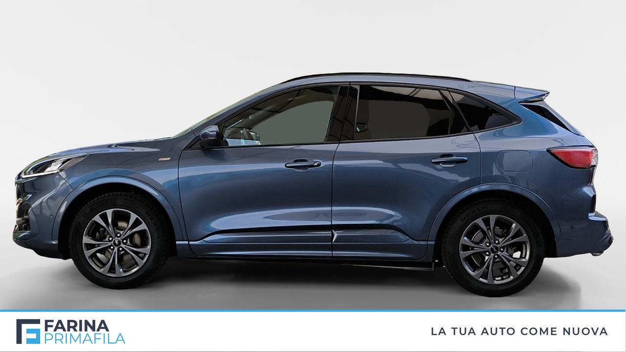 FORD Kuga III 2020 - Kuga 1.5 ecoblue ST-Line 2wd 120cv auto