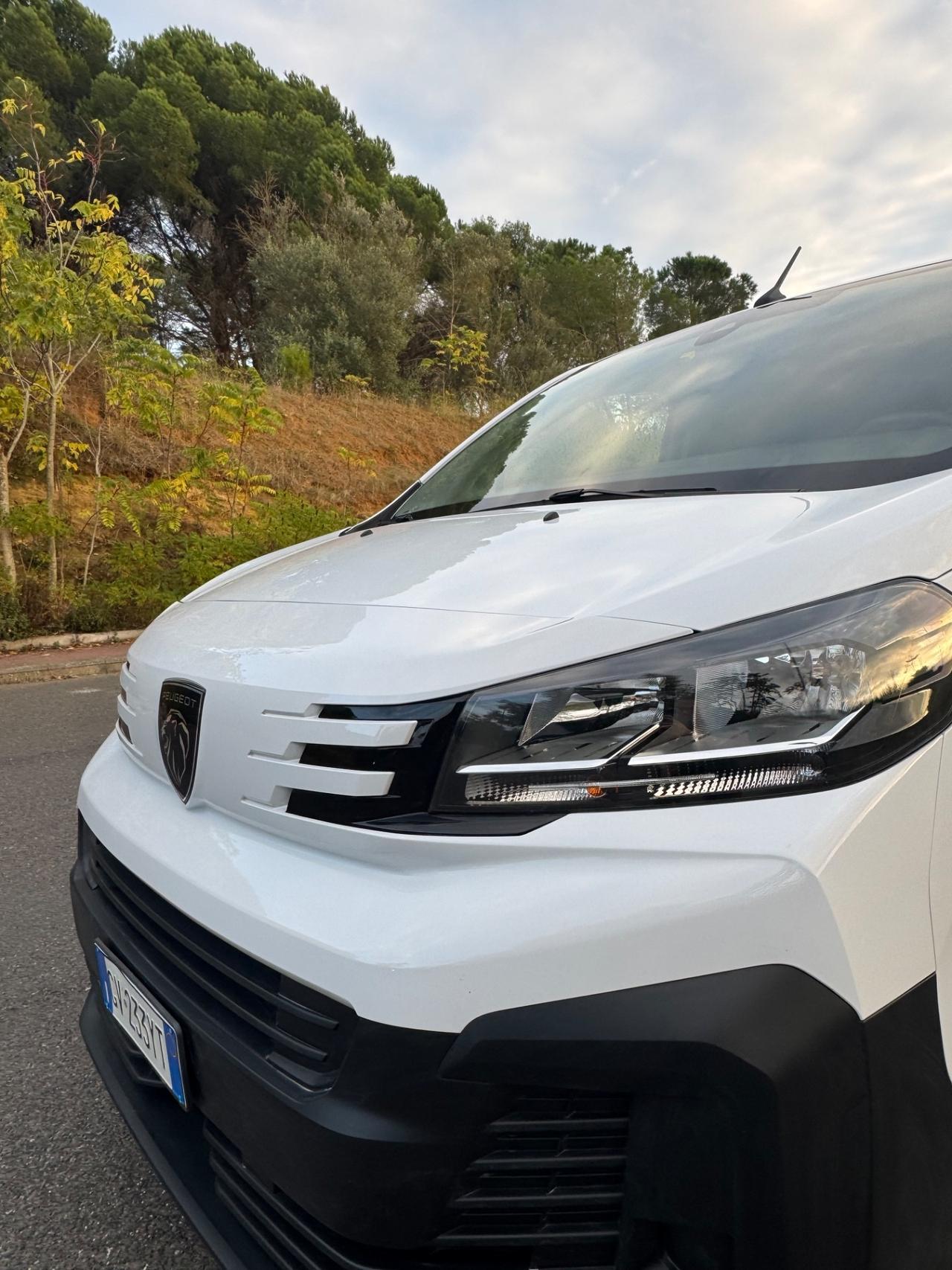 Peugeot Expert 2.0 BlueHDi 140 PL-SL-TN Furgone Long