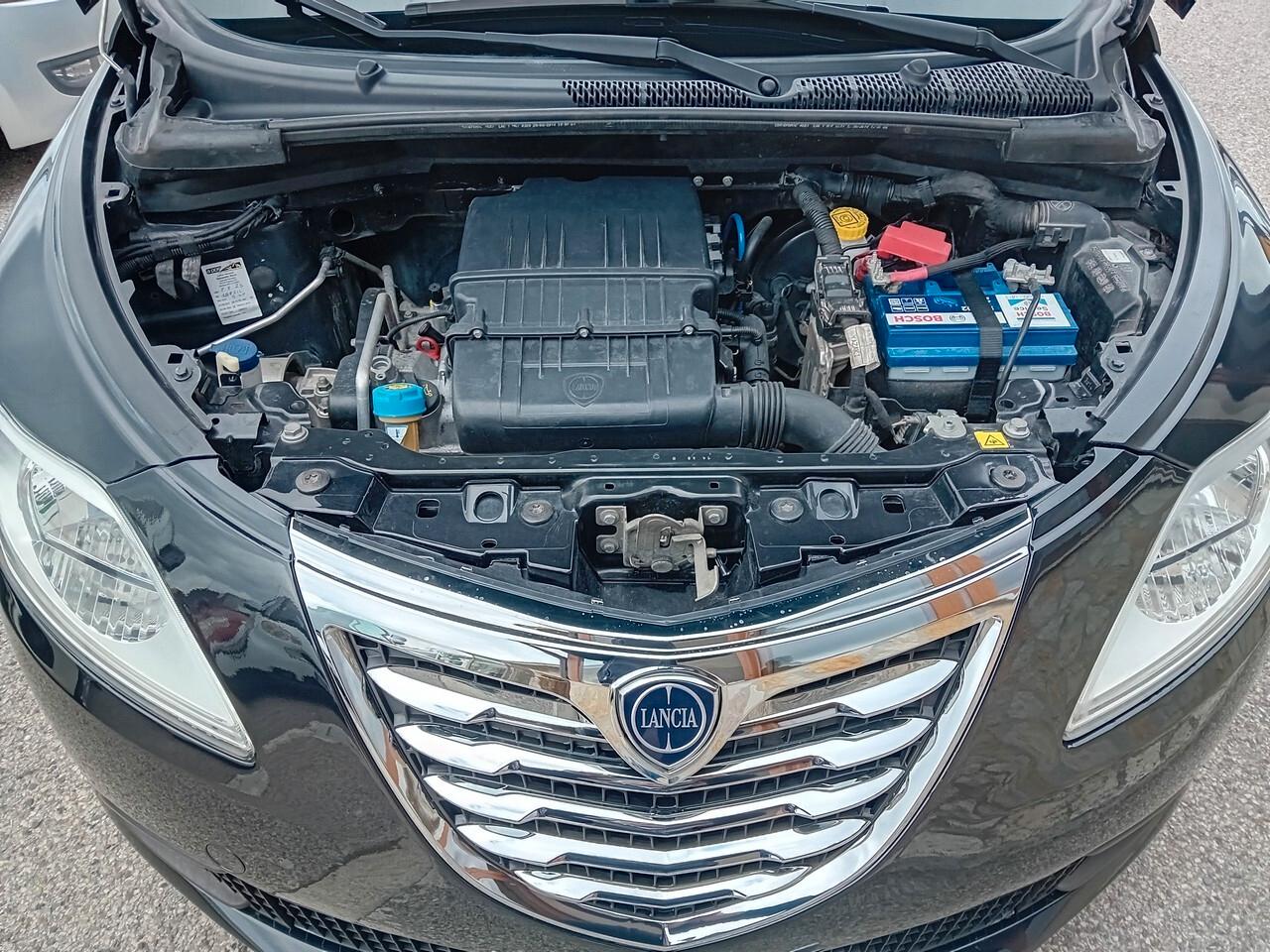 Lancia Ypsilon 1.2 69 CV 5 porte Elefantino