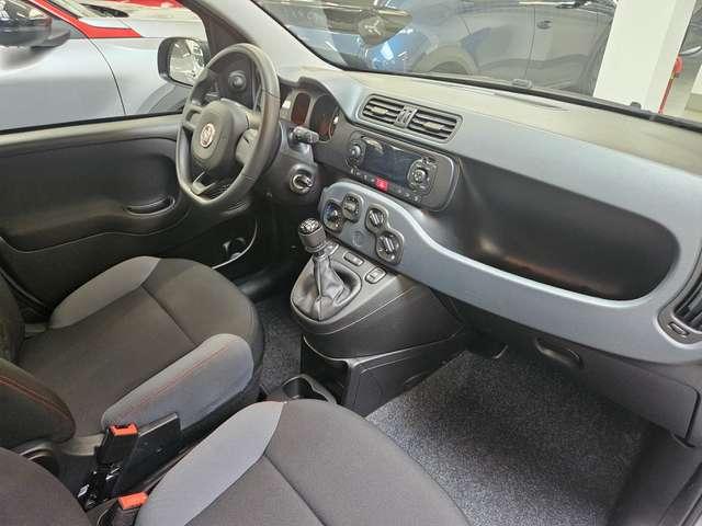 Fiat Panda Panda 1.0 hybrid Easy 70cv
