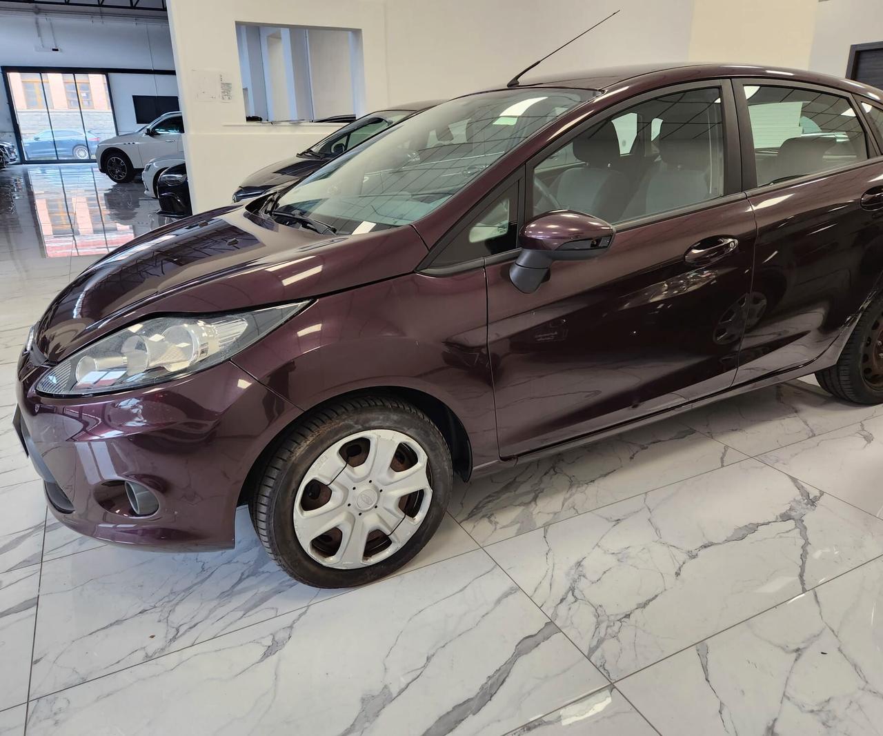 Ford Fiesta 1.4 TDCi 68CV 5 porte Titanium