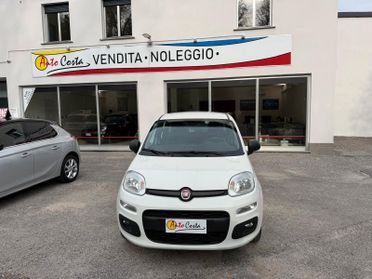 Fiat Panda 1.2 Lounge Neopatentati