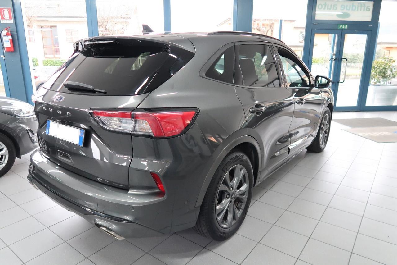 Ford Kuga 2.0 EcoBlue 120 CV aut. ST-Line