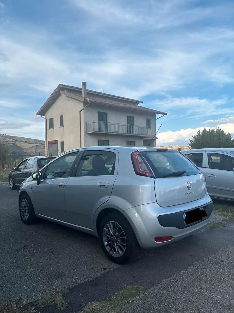Fiat Punto Evo 1.3 MJT 75 DPF S&S 5p.Van Dyn.