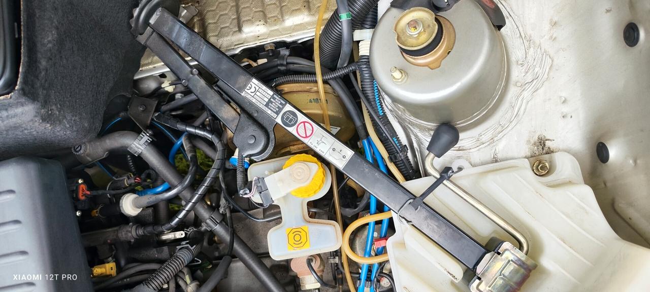 Fiat Panda 1100 i.e. UNIPROP (11.000km ORIGINALI)