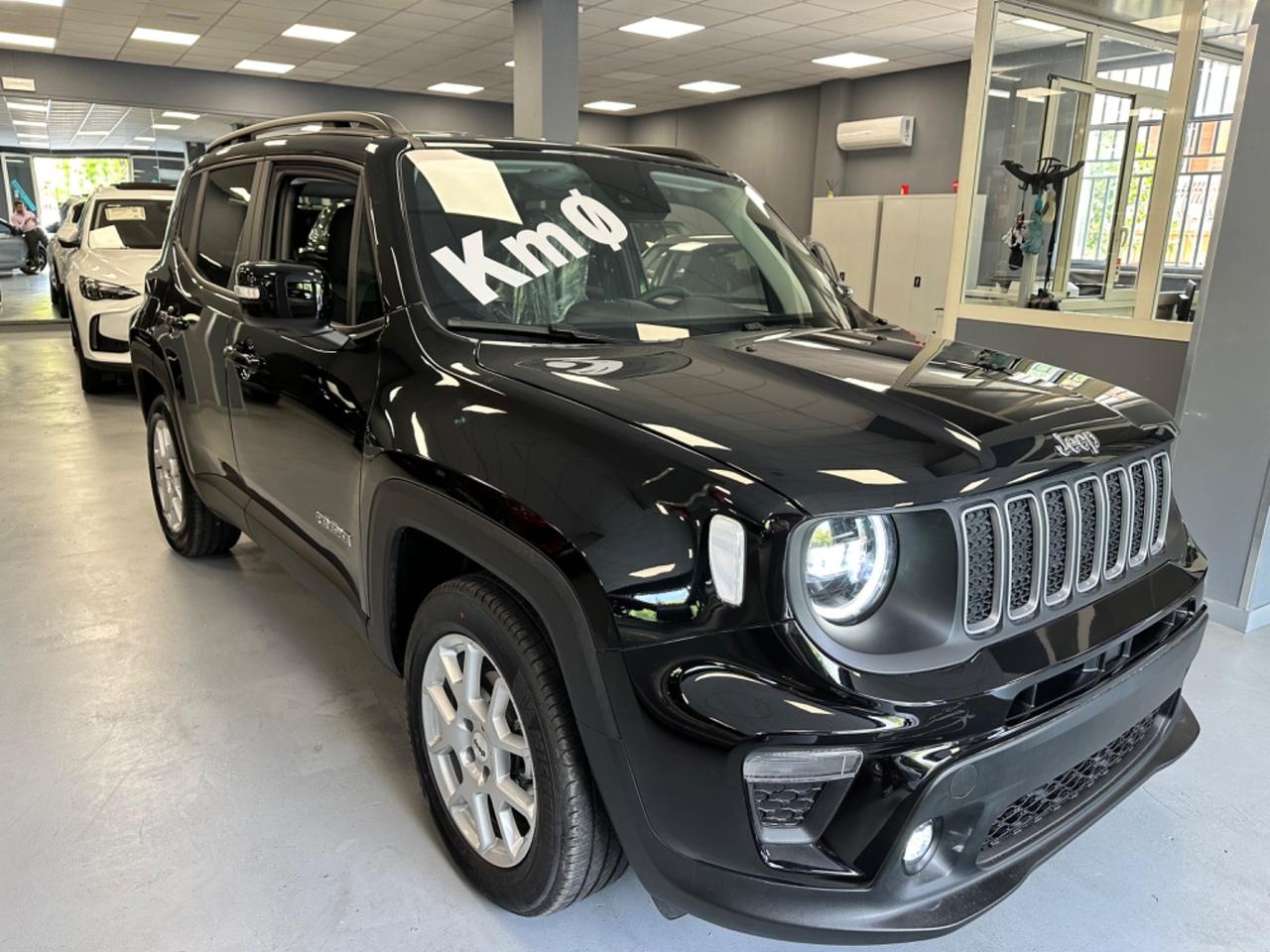 Jeep Renegade 1.6 Mjt 130 CV Limited Accessori