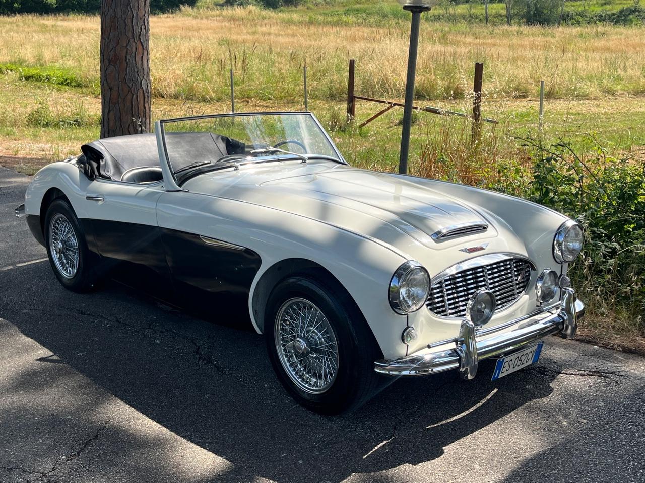 Austin Healey 100/6 BN4 2700 ASI