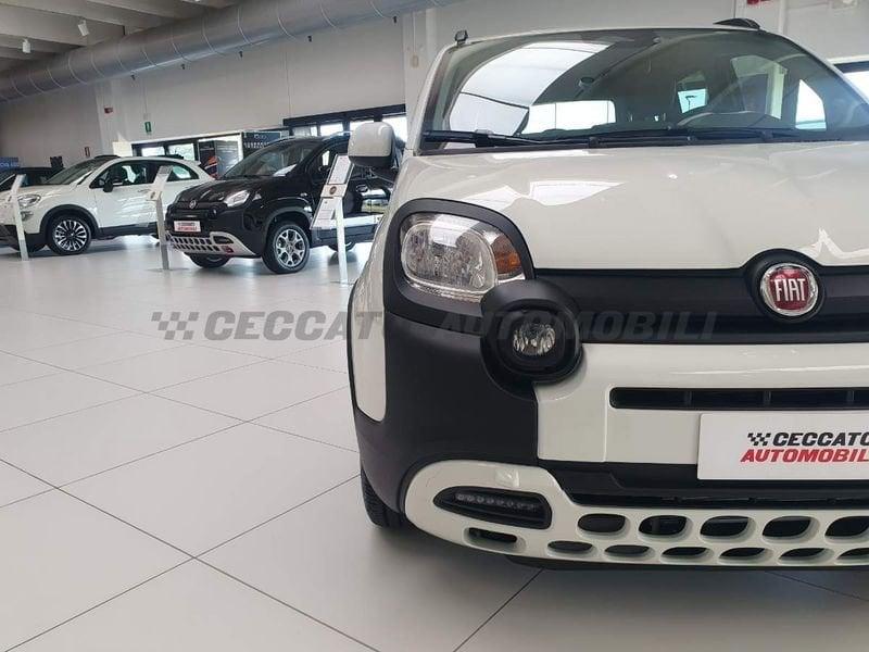 FIAT Panda 1.0 70cv Hybrid Pandina