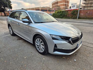 Skoda Octavia 2.0 TDI 150 CV DSG Wagon Selection