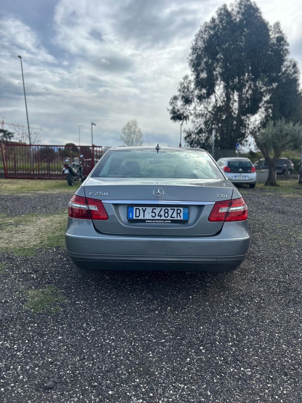 Mercedes-benz E 250 220 CDI cat EVO Avantgarde Sport