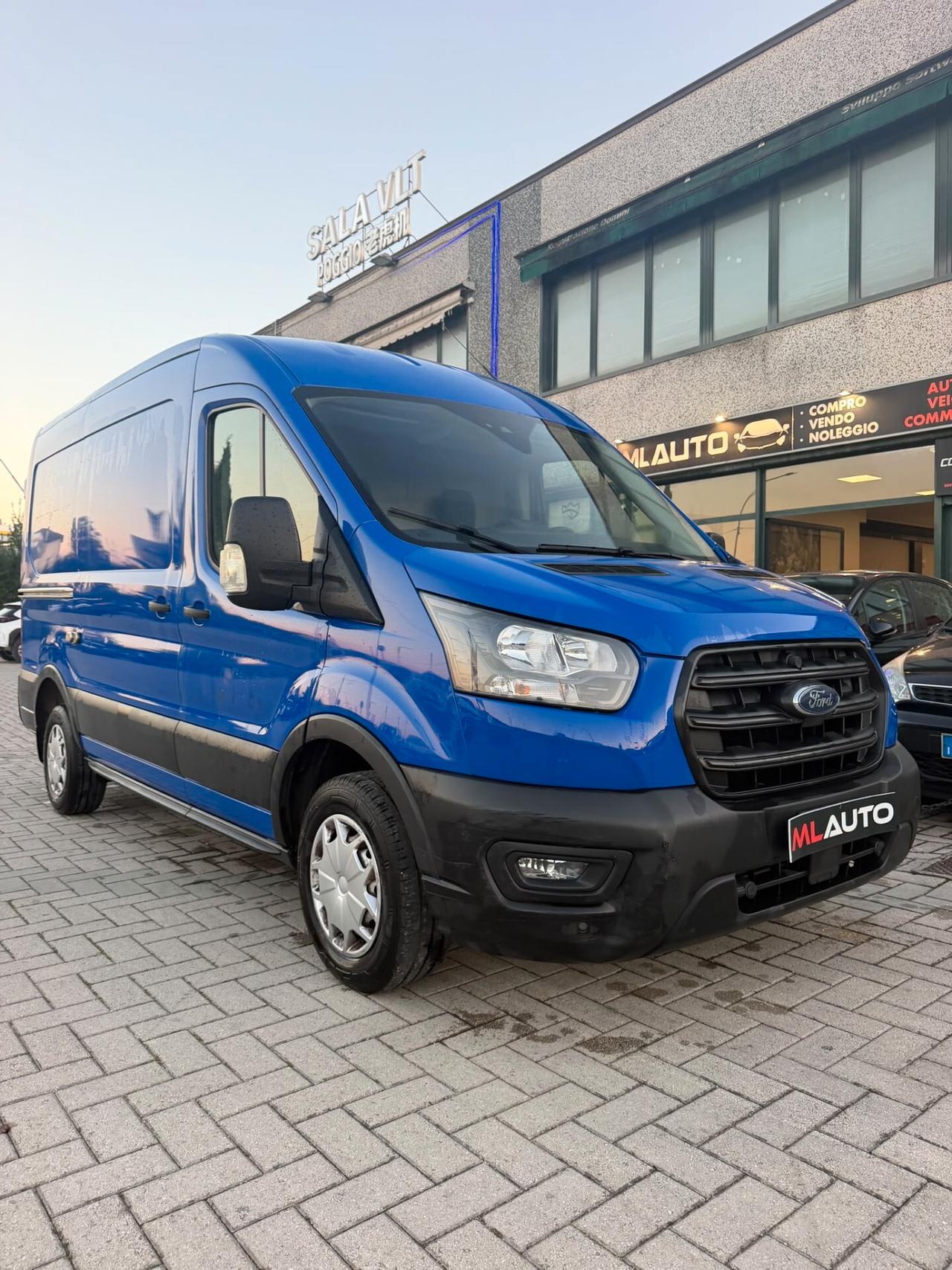 Ford Transit 290 2.0 TDCi EcoBlue PM-TM Furgone Trend