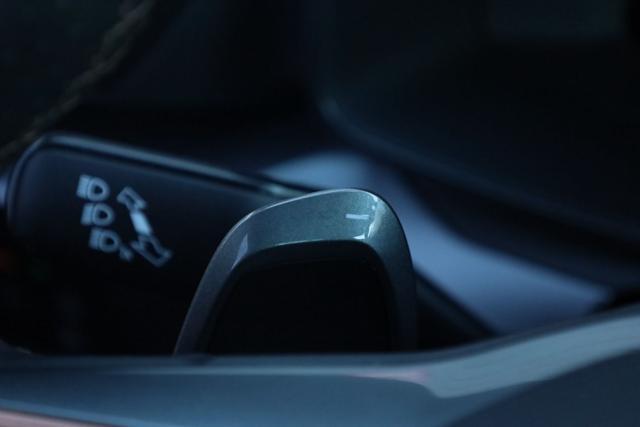 SEAT Leon CUPRA Leon 1.5 eTSI 150 CV DSG