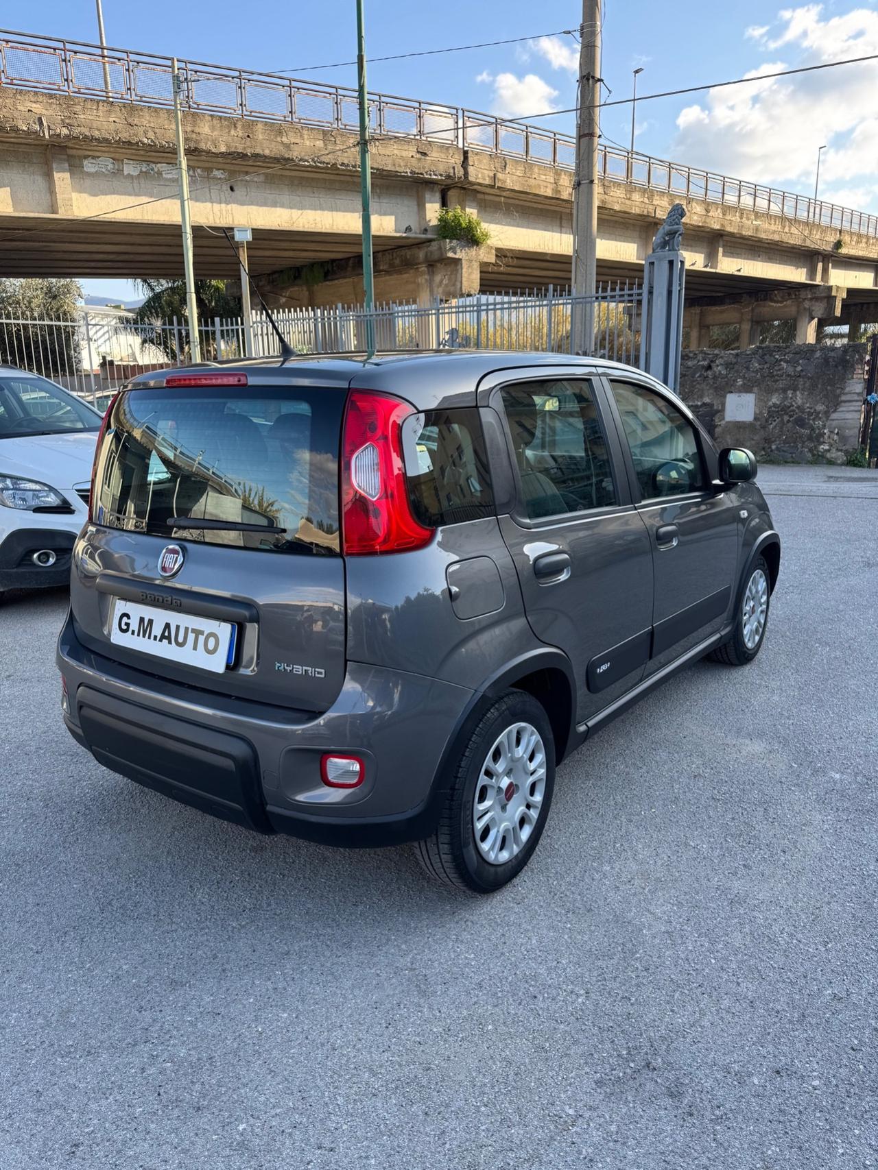 Fiat Panda 1.0 FireFly Hybrid City Life 2022