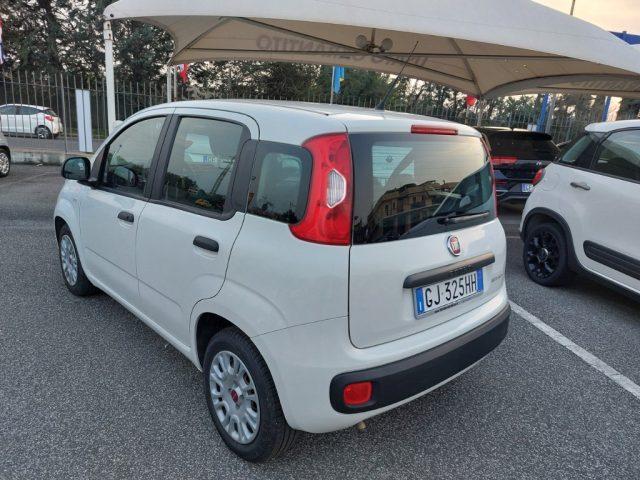 FIAT Panda 1.0 FireFly S&S Hybrid 5 posti Sedile reg altezza