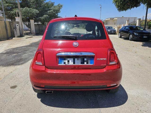 FIAT 500 1.0 Hybrid cult AUTOVETTURA