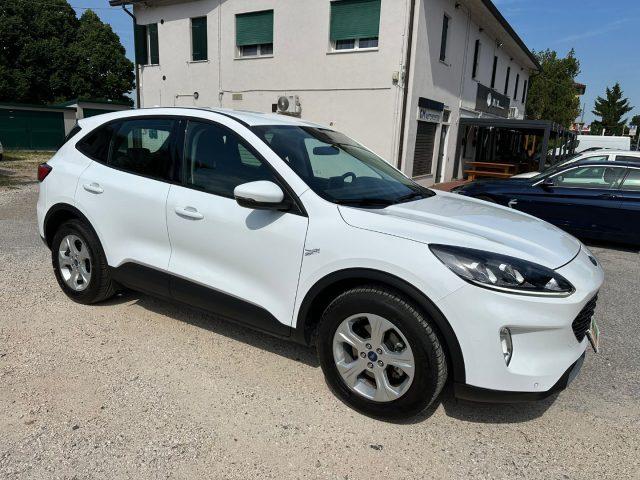 FORD Kuga 1.5 EcoBlue 120 CV aut. 2WD Connect