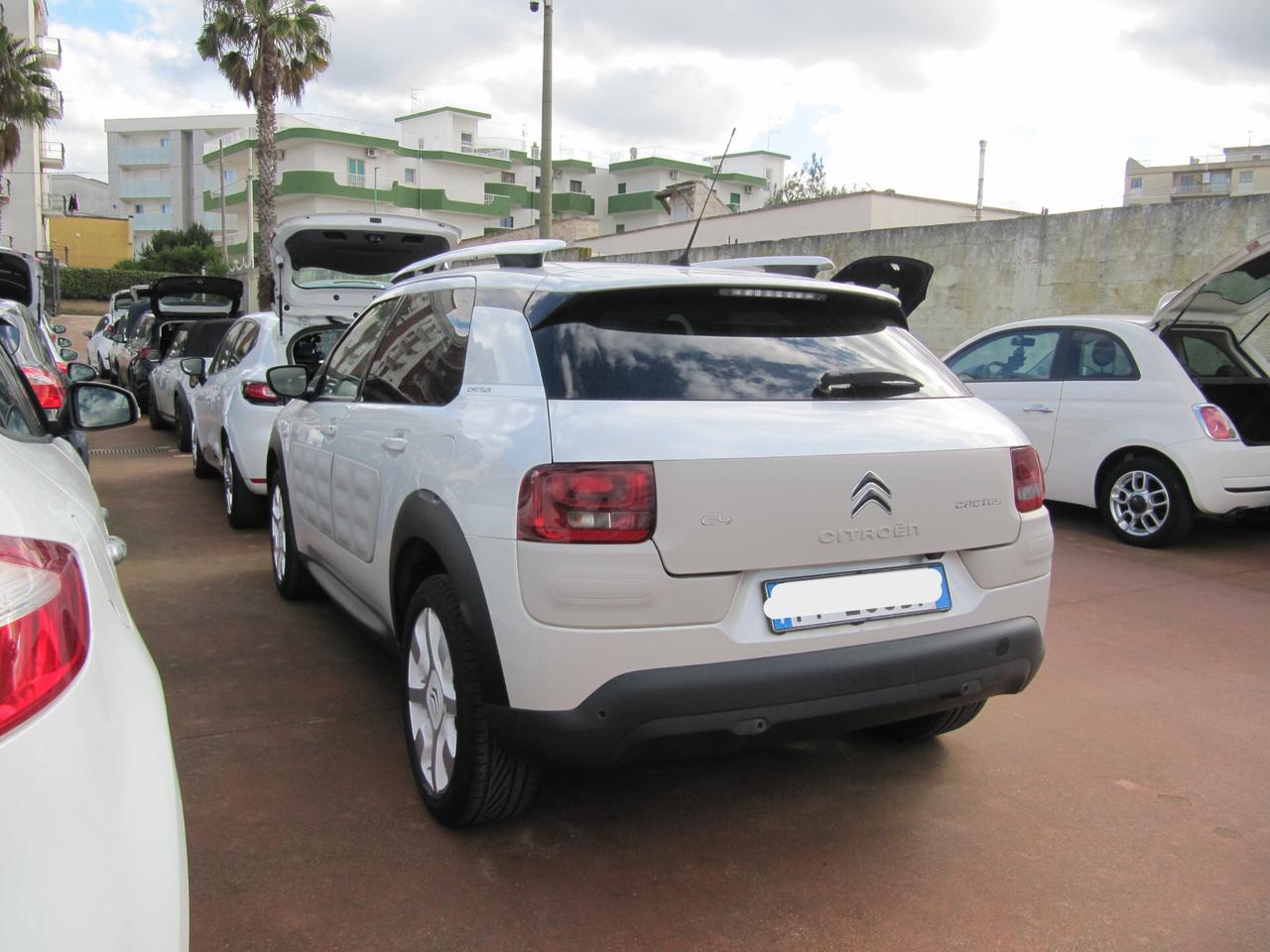 Citroen C4 Cactus BlueHDi 100 Shine