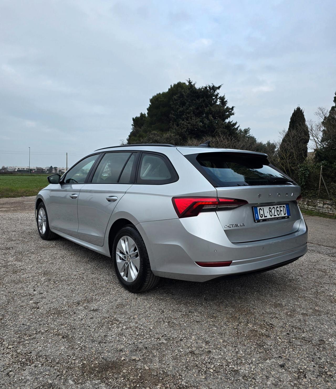 Skoda Octavia 2.0 TDI 116 CV DSG Wagon Executive