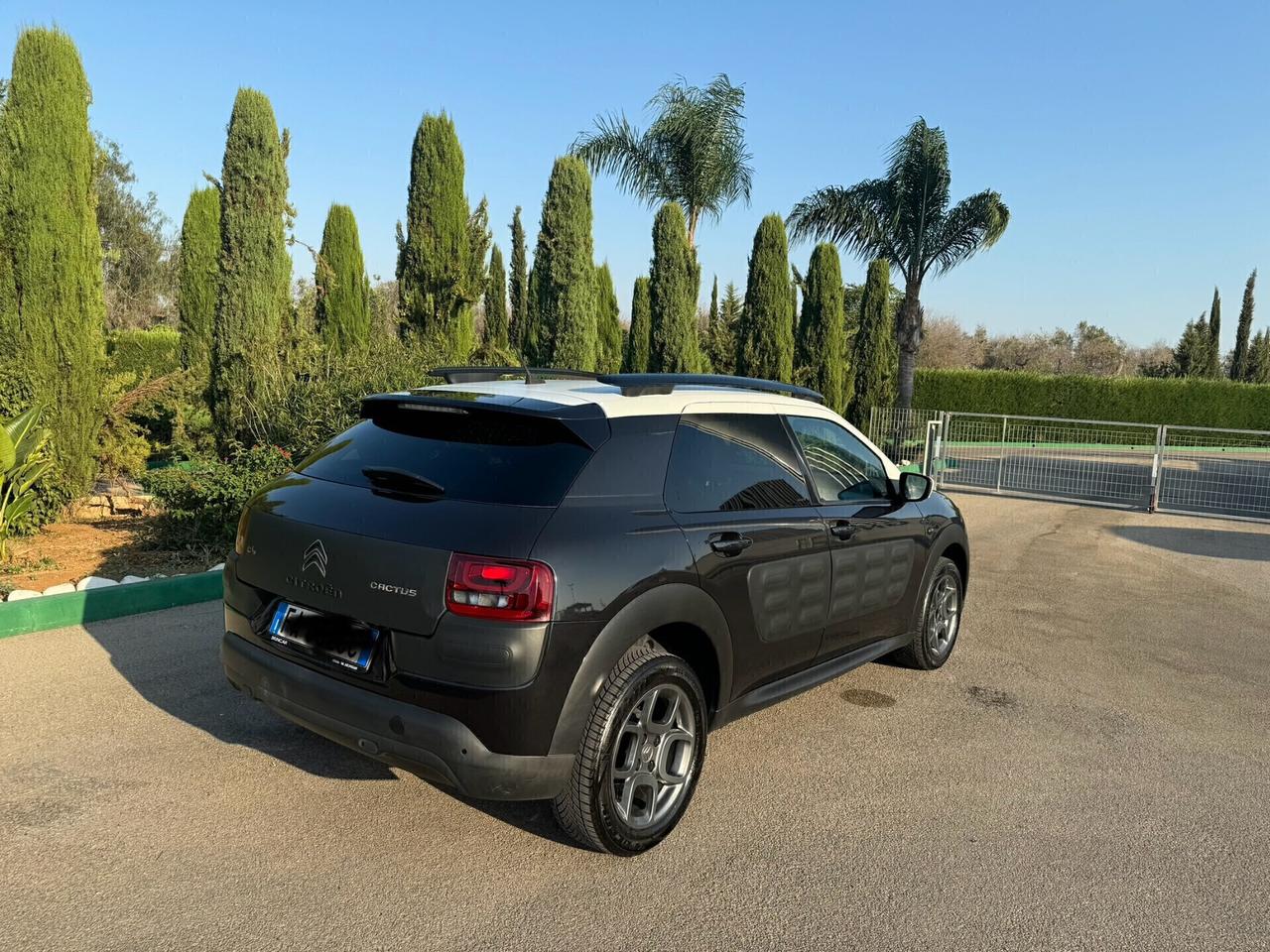 Citroen C4 Cactus PureTech 110 S&S Feel