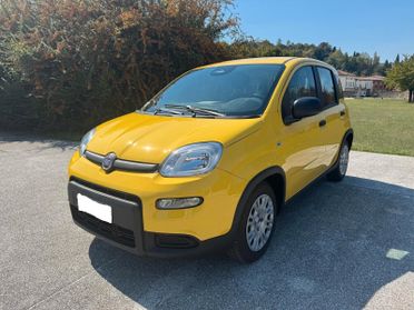 Fiat Panda 1.0 FireFly S&S Hybrid Pandina- 1.516 KM – 2024