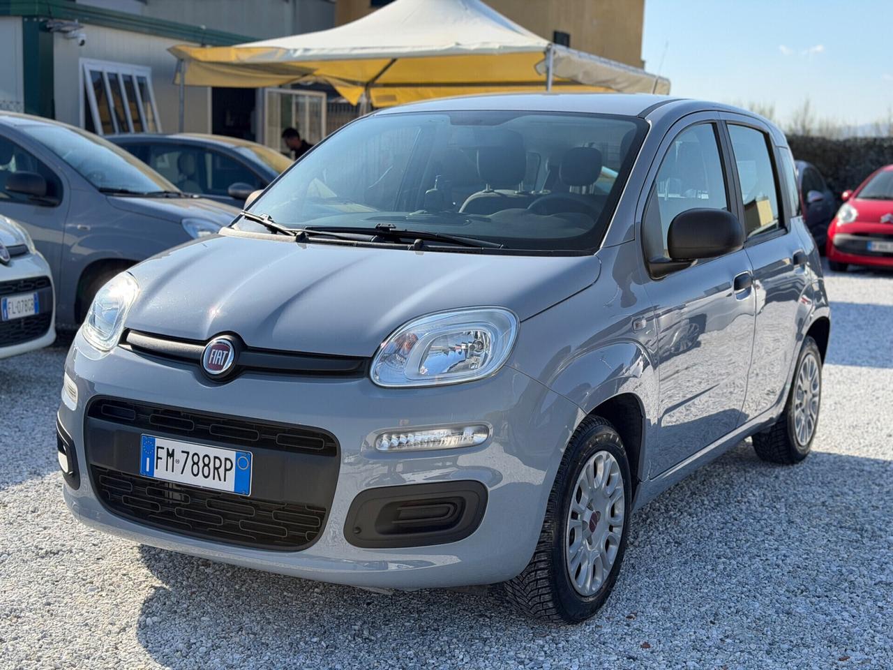 Fiat Panda 1.2 Lounge “ 29 Mila Km CERTIFICATI “