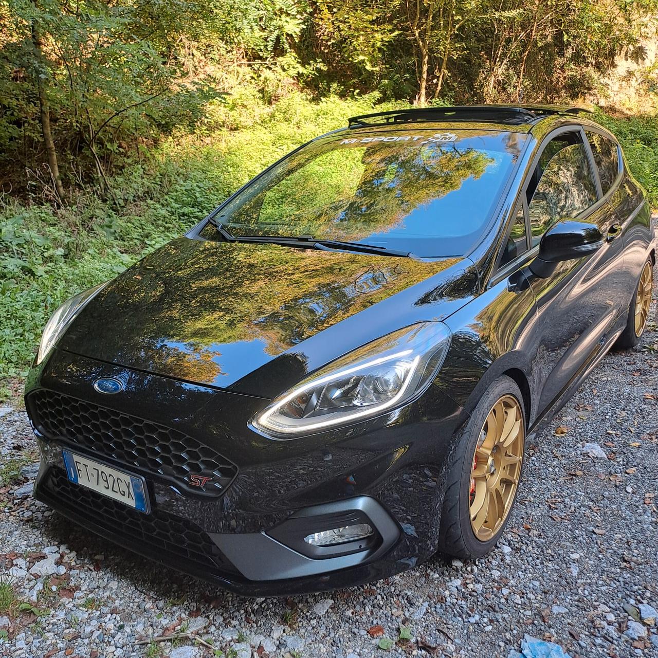FIESTA ST200cv Performance - Tetto apribile