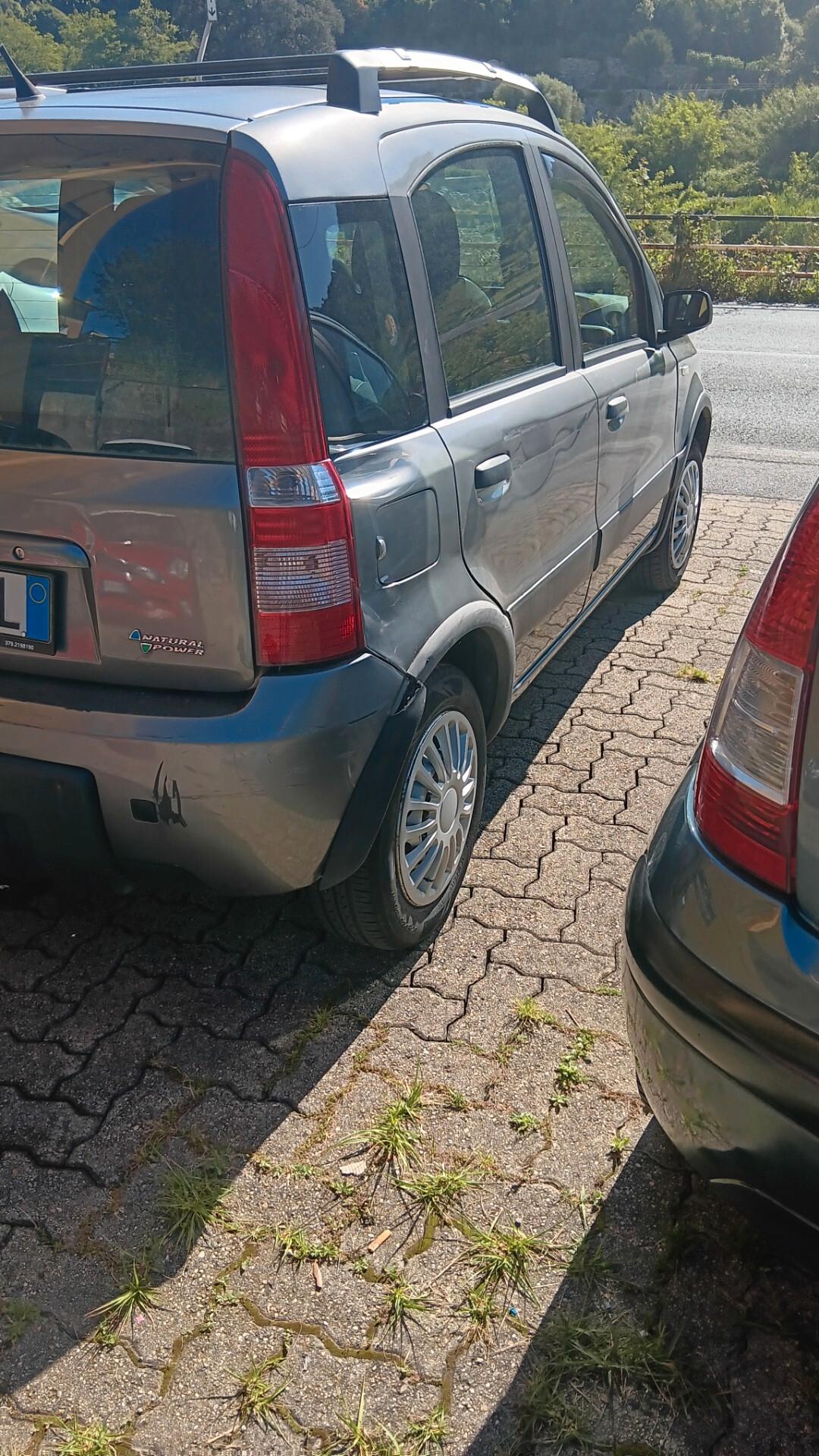 Fiat Panda 1.2 Climbing Natural Power