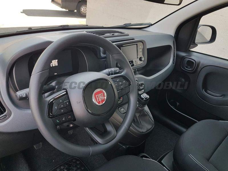 FIAT Panda Panda 1.0 firefly hybrid s&s 70cv 5p.ti