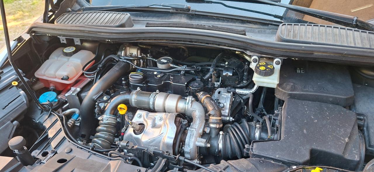 Ford C-Max C-Max7 2.0 TDCi 150CV Start&Stop Titanium