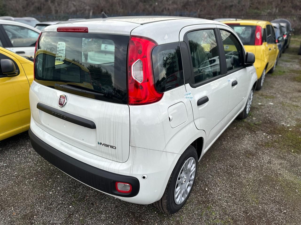 FIAT Pandina III 2024 - Pandina 1.0 firefly hybrid s&s 70cv 5p.ti