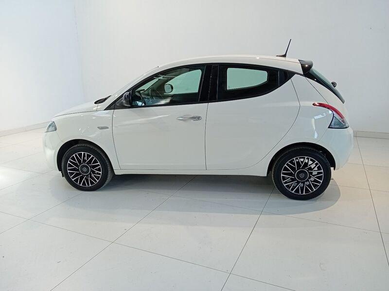 Lancia Ypsilon Ypsilon 1.0 FireFly 5 porte S&S Hybrid Platino