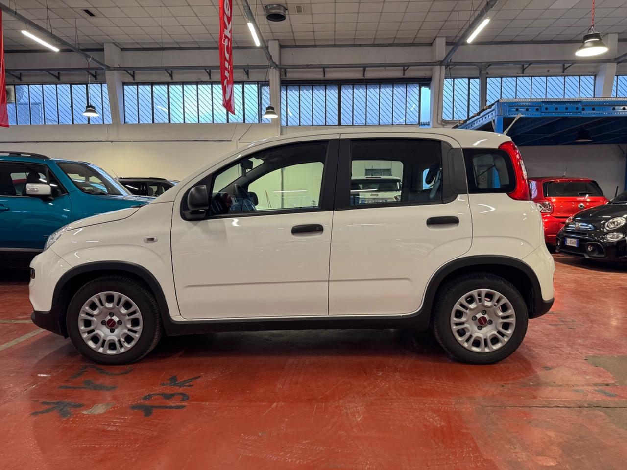 Fiat Panda 1.0 FireFly S&S Hybrid City Life Prezzo senza vincoli