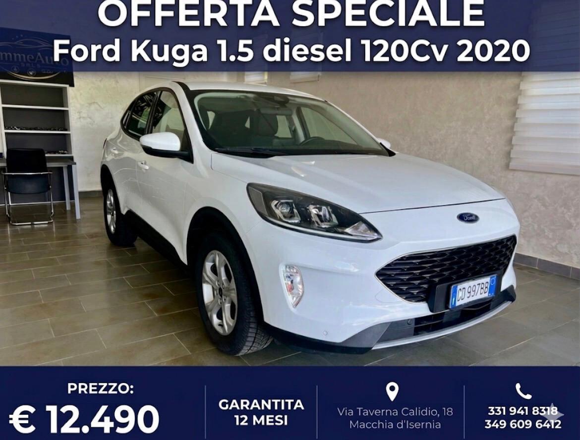 Ford Kuga 1.5 EcoBlue 120 CV 2WD Titanium