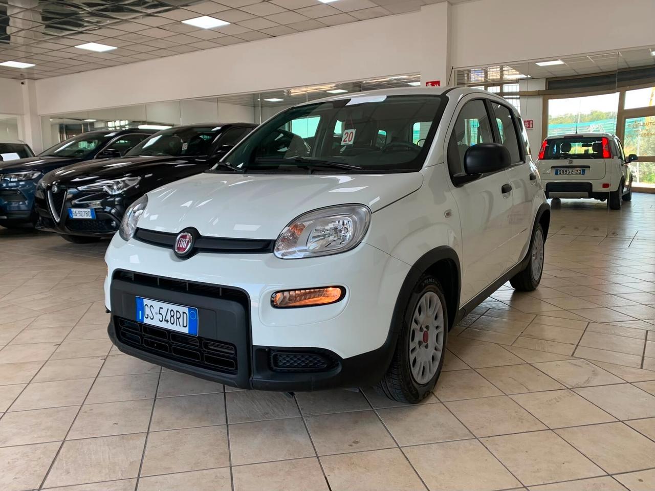 Fiat Panda 1.0 FireFly S Hybrid *IVA DEDUCIBILE*