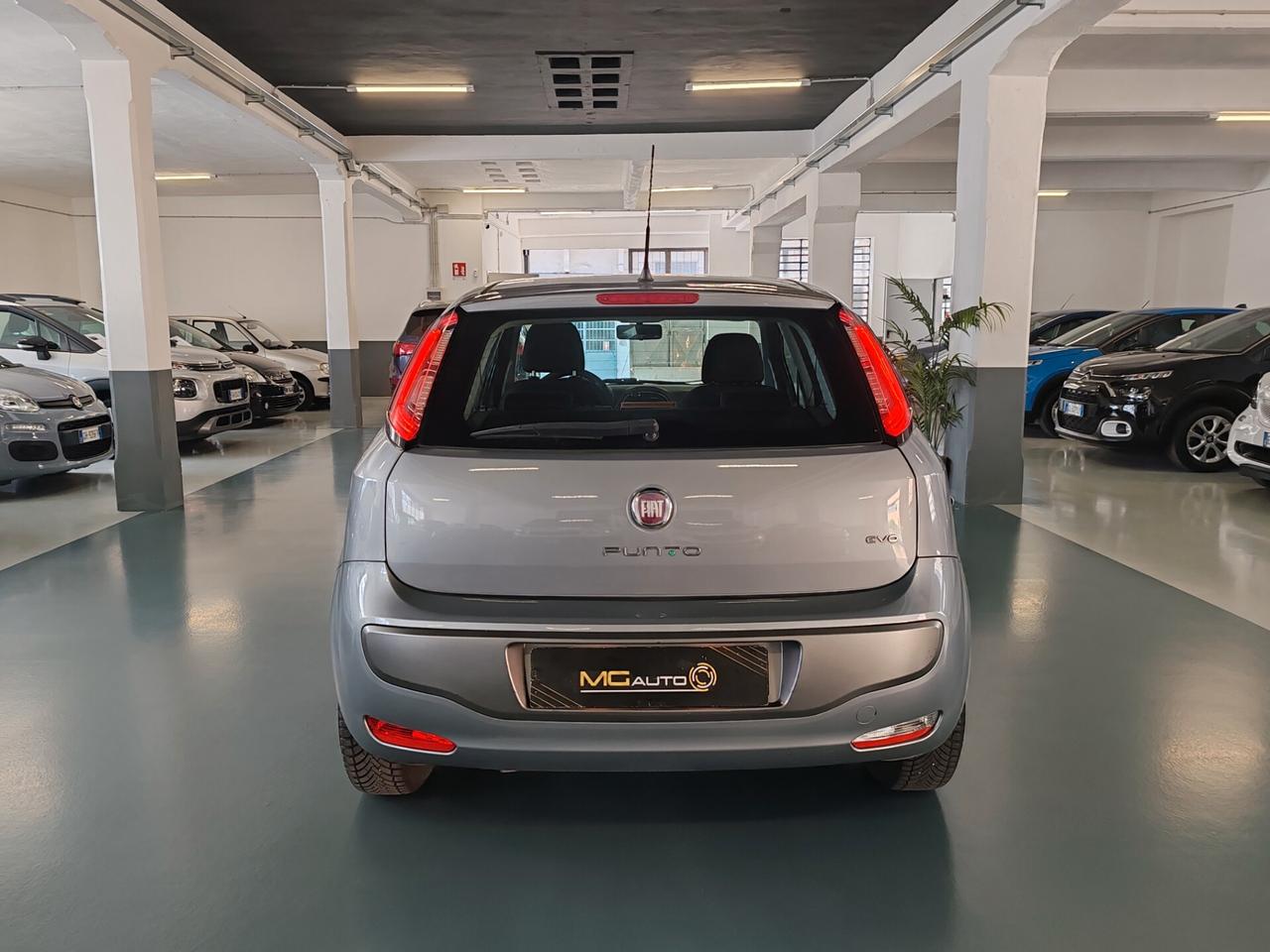 Fiat Punto Evo 1.4 5 porte Dynamic GPL