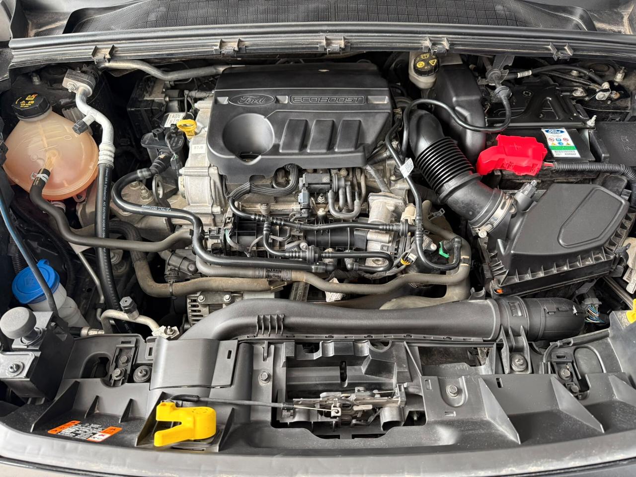 Ford Puma 1.0 EcoBoost Hybrid 125 CV ST-Line X 2021