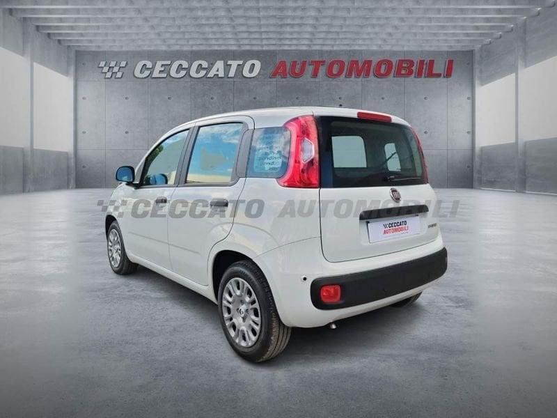 FIAT Panda Panda 1.0 70cv Hybrid Icon