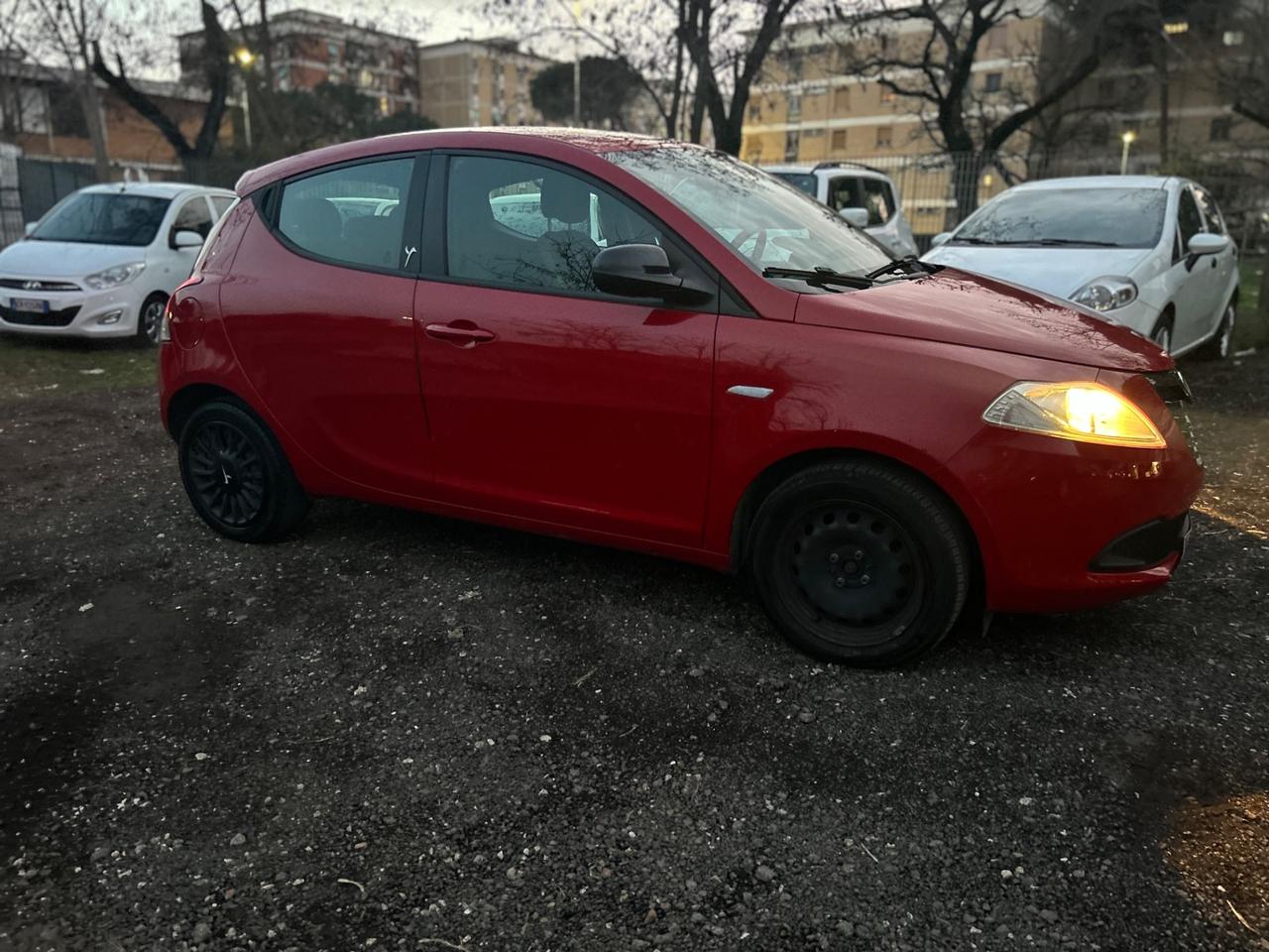 Lancia Ypsilon 1.2 69 CV 5 porte Elefantino