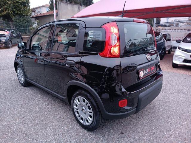 FIAT Panda 1.0 FireFly S&S Hybrid Pandina