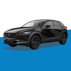 MAZDA CX-30 2.0L e-Skyactiv-X M Hybrid 2WD Nagisa