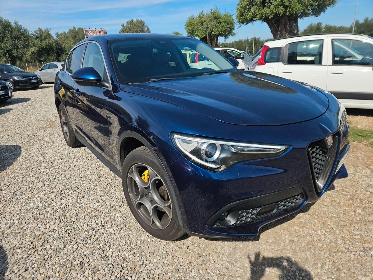 Alfa Romeo Stelvio 2.2 Turbodiesel 210 CV AT8 Q4 Executive