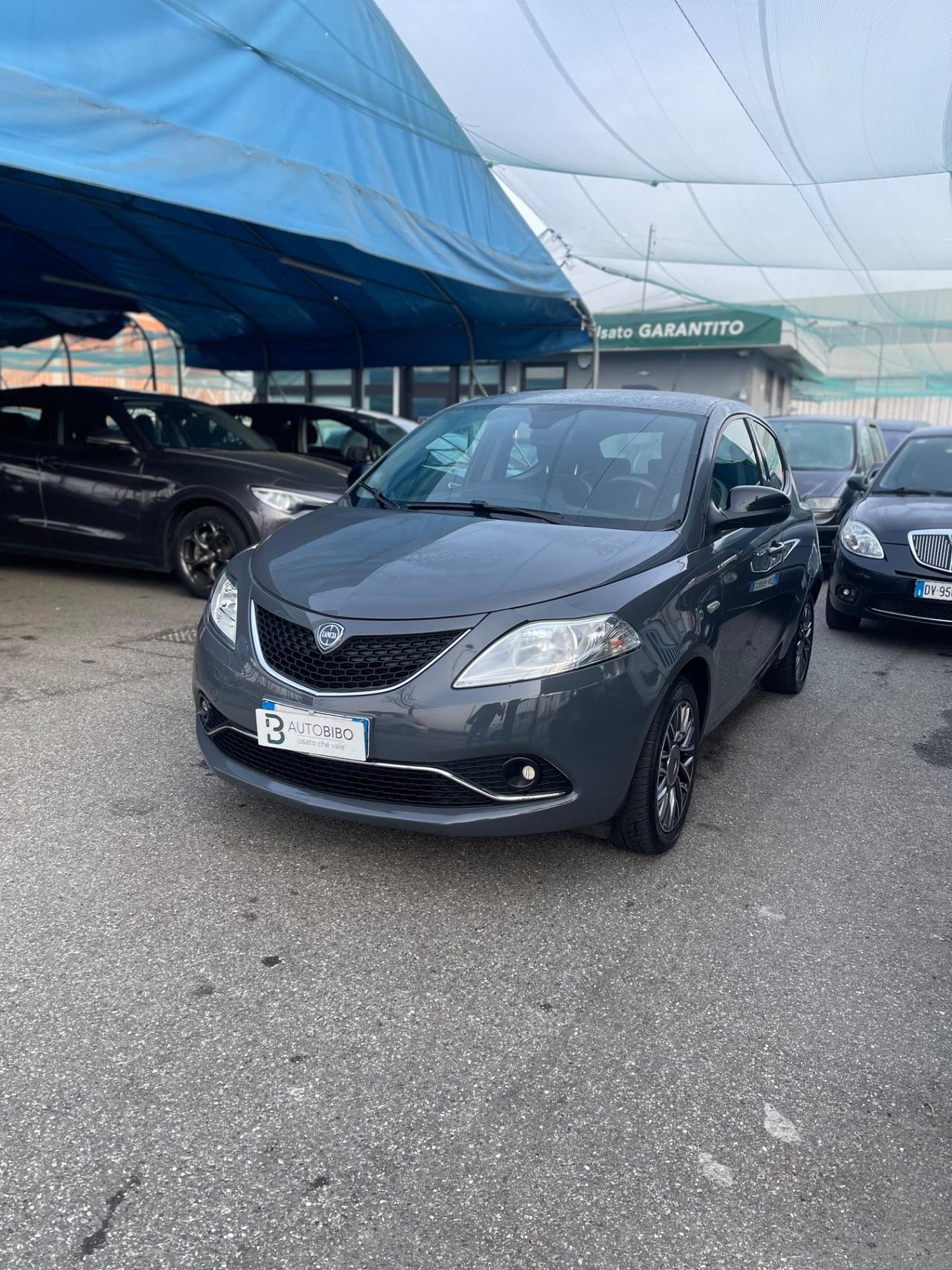 Lancia Ypsilon 1.2 69 CV 5 porte Platinum