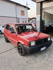 Fiat Panda 1100 i.e. cat Young