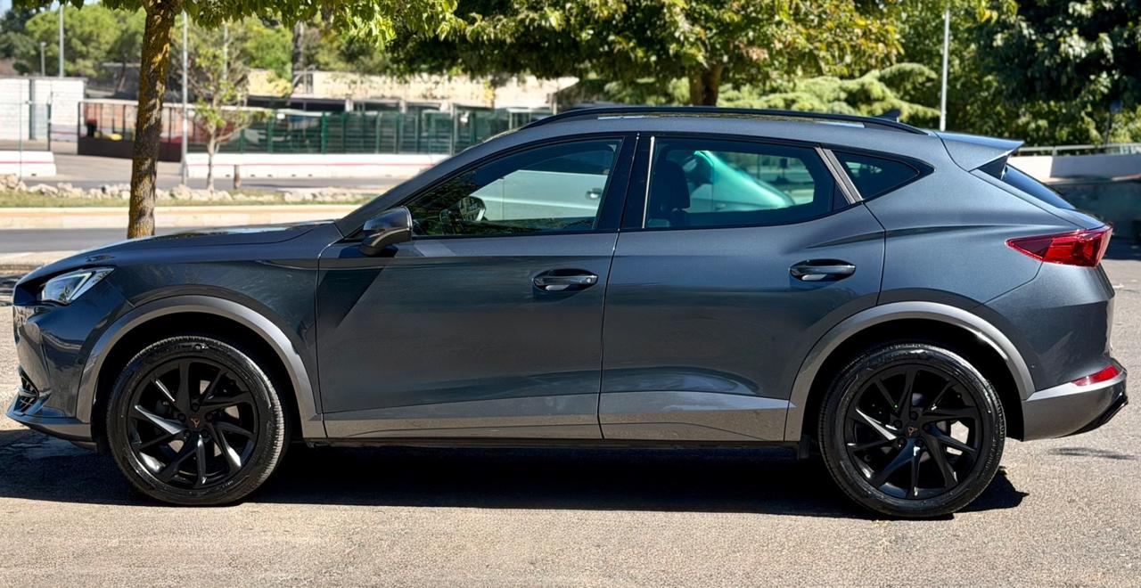 Cupra Formentor 2.0 Tdi 150CV DSG 4drive